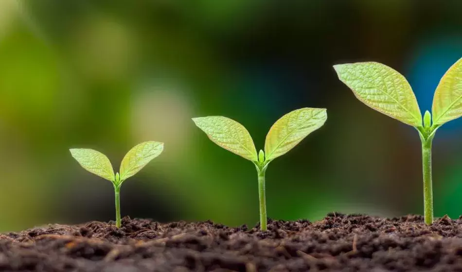 Semaine du développement durable