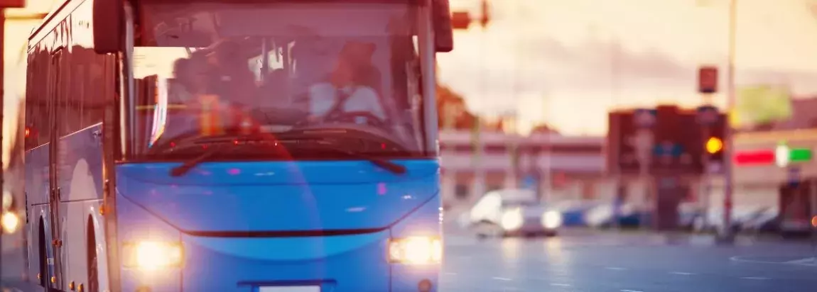 bus